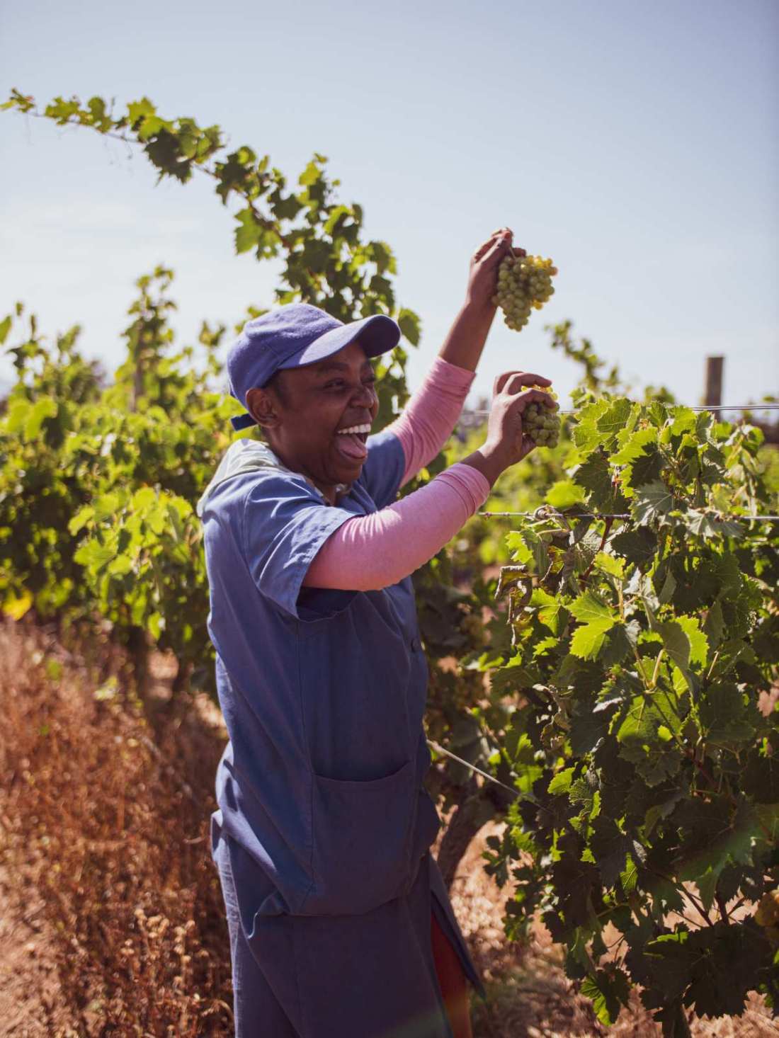 5F846246-61C9-4C28-869E-0242DE0F2F45